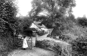 Keynes: Liskeard, St Keyne's Well 1906