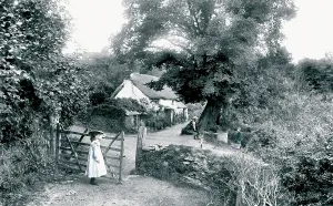 Keynes: Liskeard, St Keyne's Well 1906