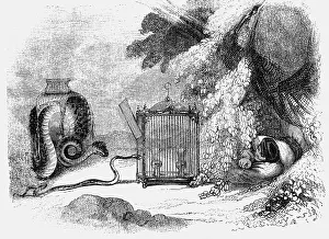 Badia: literature, The Book of One Thousand and One