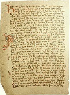 Handwritings: literature, documents, illuminated manuscript