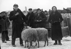 Crate: Lithuania Germans with sheep, 1941