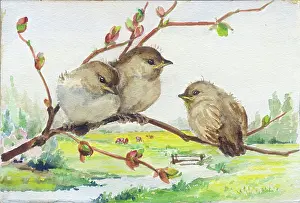 Orton: Three little birds on a bough
