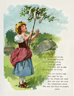 Mcloughlin: Little Bo-Peep