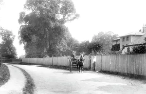 Bookham: Little Bookham, Village 1904