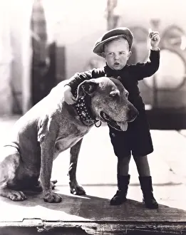 Obedient: Little boy and his dog