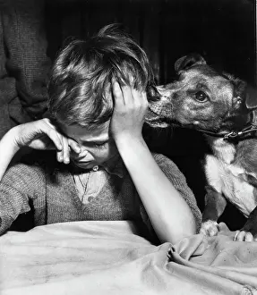 Lick: Little boy and his dog