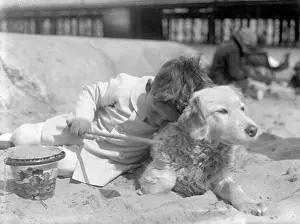 Little boy and his dog on a sandy beach