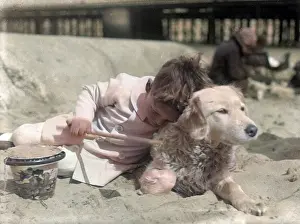 Barnabys: Little boy and his dog on a sandy beach
