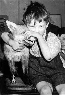Vulpini: Little boy with fox, c.1950
