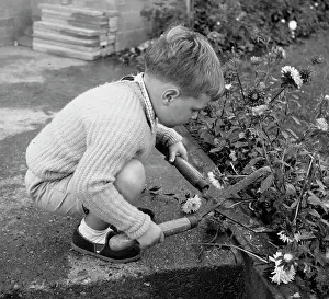 Shears: Little boy with garden shears