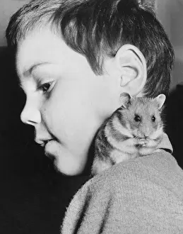 Hamster: Little boy with pet hamster on his shoulder