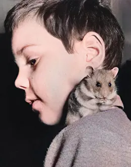 Hamster: Little boy with pet hamster on his shoulder