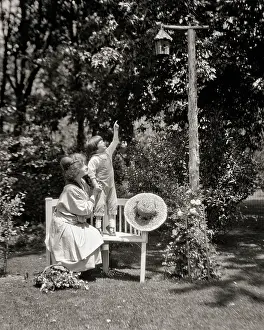 Birdhouse: Little Boy Standing on Bench Pointing to a Birdhouse