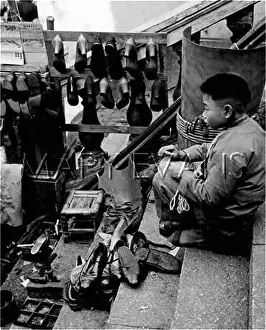 LITTLE CHINESE COBBLER