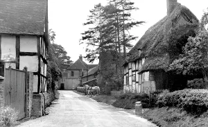 Comberton: Little Comberton, the Village c1955