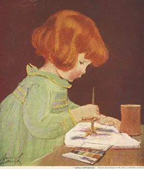 Paints: Little Coppernob by Muriel Dawson