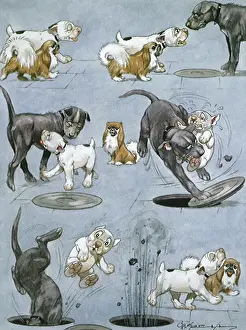 Manhole: Little Dogs Win