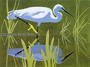 Nov16: Little Egret by Robert Gillmor