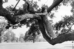 Dungarees: Little girl climbing a tree