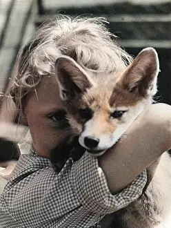 Andrew Besley: Little girl with fox cub