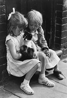 Two little girls with a cat