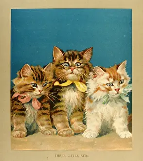 Kits: Three Little Kits