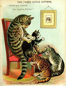 Tuck: The Three Little Kittens