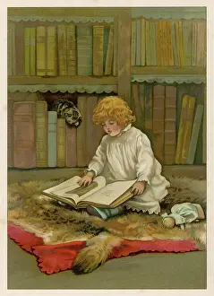 Librarian: THE LITTLE LIBRARIAN