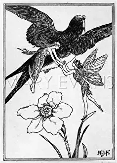 Maia: LITTLE MAIA & SWALLOW