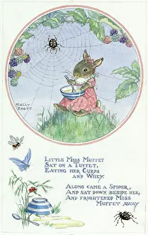 Muffet: Little Miss Muffet