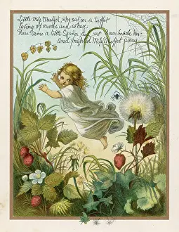 Muffet: LITTLE MISS MUFFET (EVB)