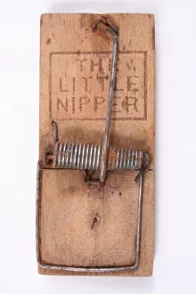 Snatch: The Little Nipper mouse trap