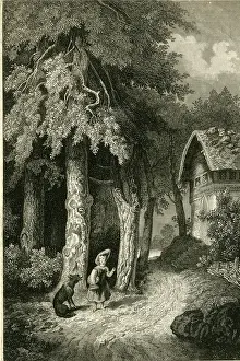 Fairytale: Little Red Riding Hood and the Wolf