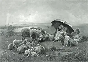Shepherdesses: The little shepherdesses