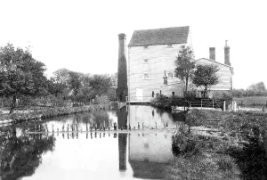 Littlebourne: Littlebourne, the Mill 1903