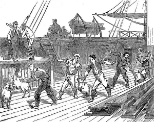 Indus: Live Provisions on the deck of the emigrant ship, Indus