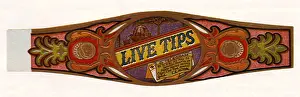 Telegram: Live Tips