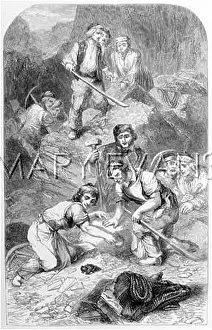 Quarrymen: LIVE TOAD FOUND IN ROCK