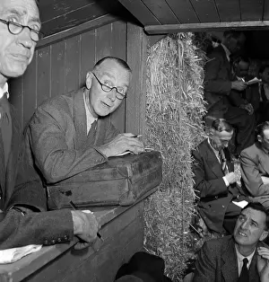 Livestock Auction