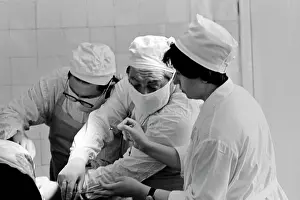 Derive: Livestock breeding complex laboratory