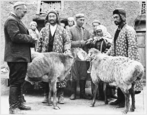 Donate: LIVESTOCK FOR UKRAINE