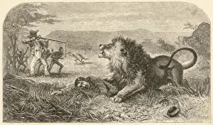 Unfriendly: LIVINGSTONE AND LION