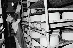 Puts: Livny Cheese Factory