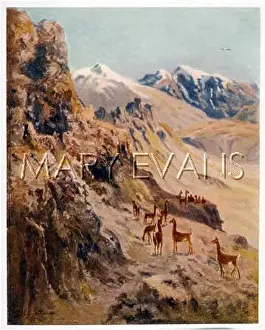 Guanaco: LLAMA/GUANACO 1914