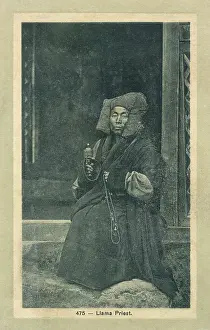 Llama: Llama Priest, Tibet, China