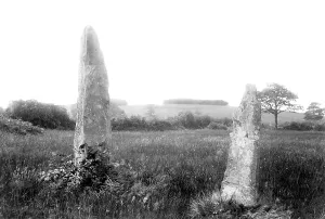 Llanbedr: Llanbedr, Two Long Stones 1892