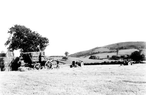 Clwyd: Llansilin, Harvesting 1951