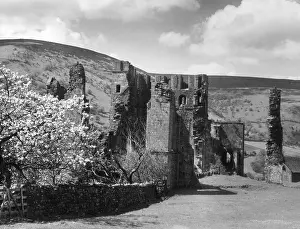 Llanthony: LLANTHONY ABBEY