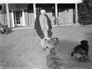 Churt: LLOYD GEORGE & HIS DOG