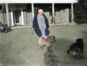 Churt: LLOYD GEORGE & HIS DOG
